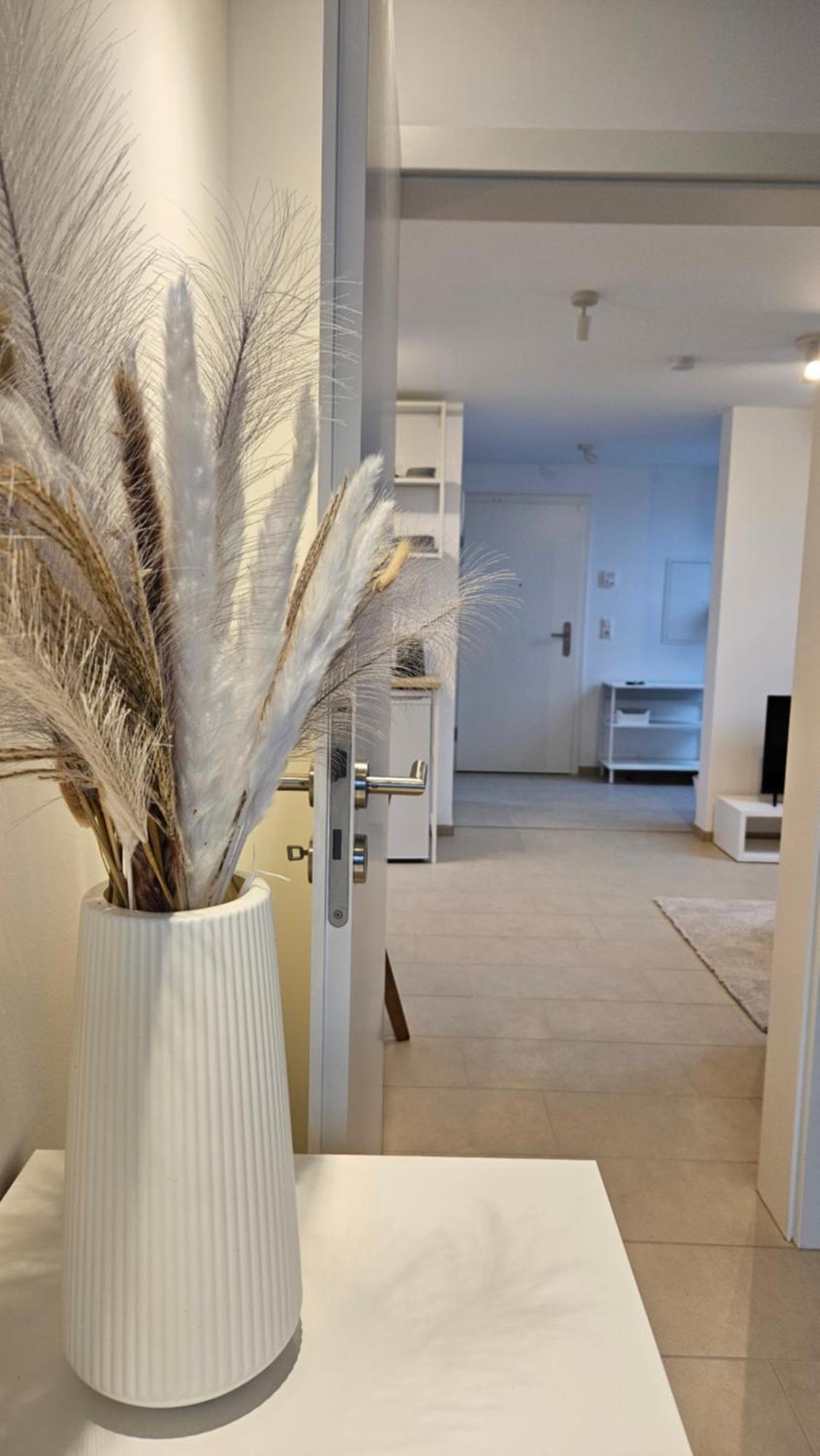 Ferienwohnung As5 Two Bamberg - Zentrale Lage Mit Parkplatz Hallstadt Buitenkant foto